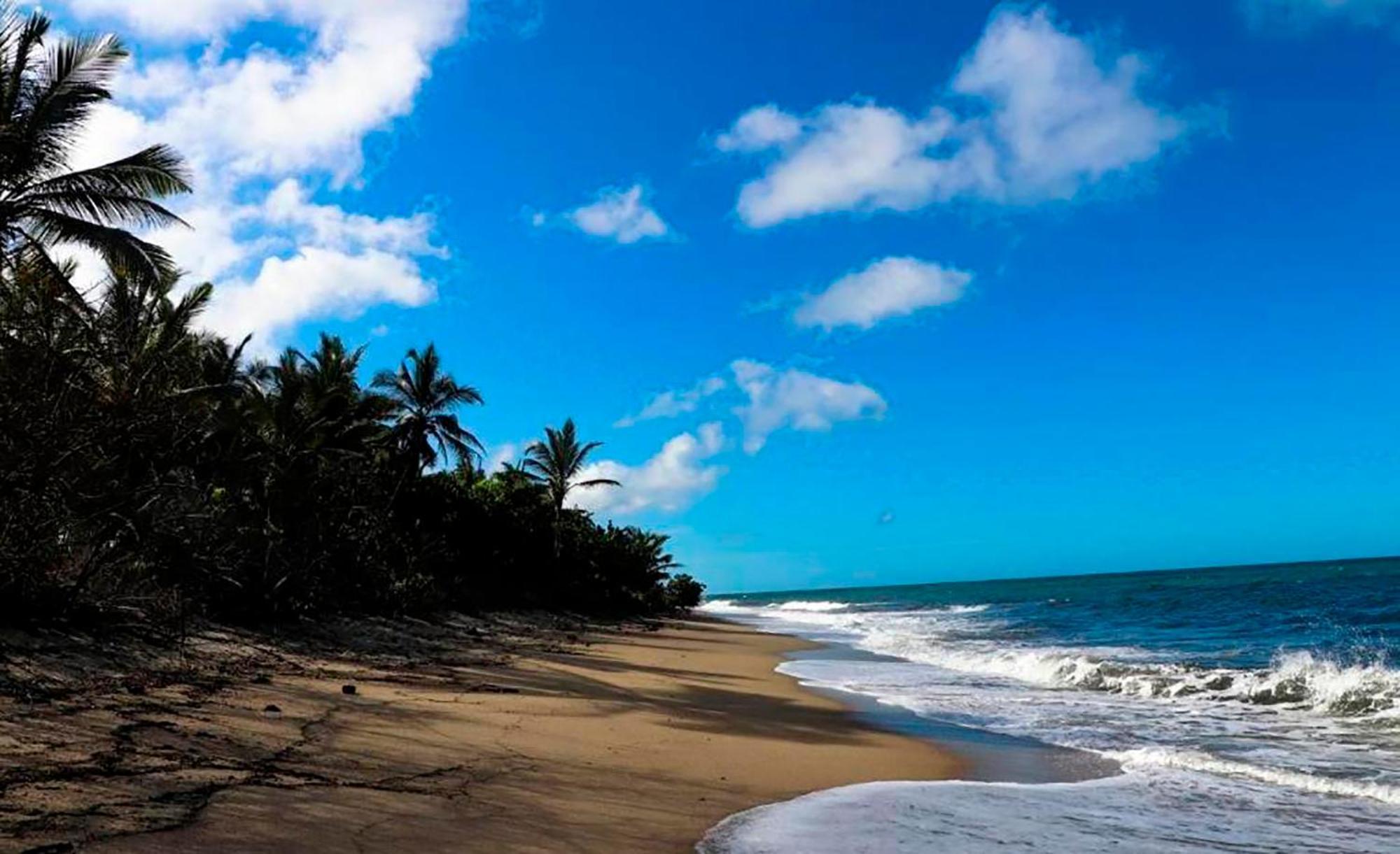Hostal Mirador Dentro Del Parque Tayrona El Zaino Eksteriør bilde