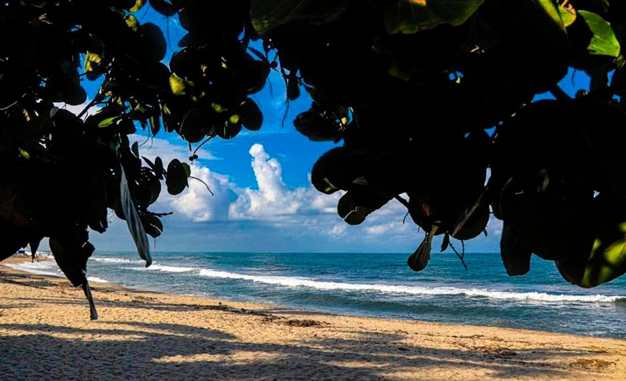 Hostal Mirador Dentro Del Parque Tayrona El Zaino Eksteriør bilde