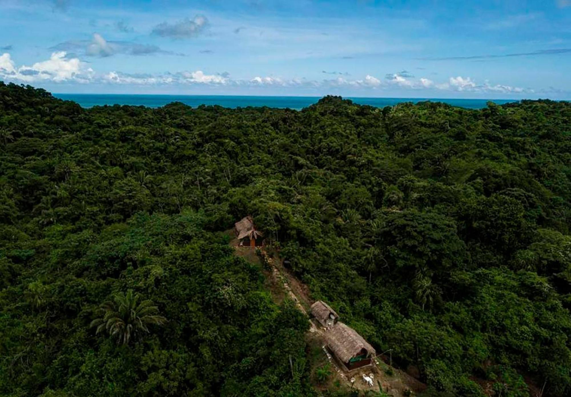 Hostal Mirador Dentro Del Parque Tayrona El Zaino Eksteriør bilde