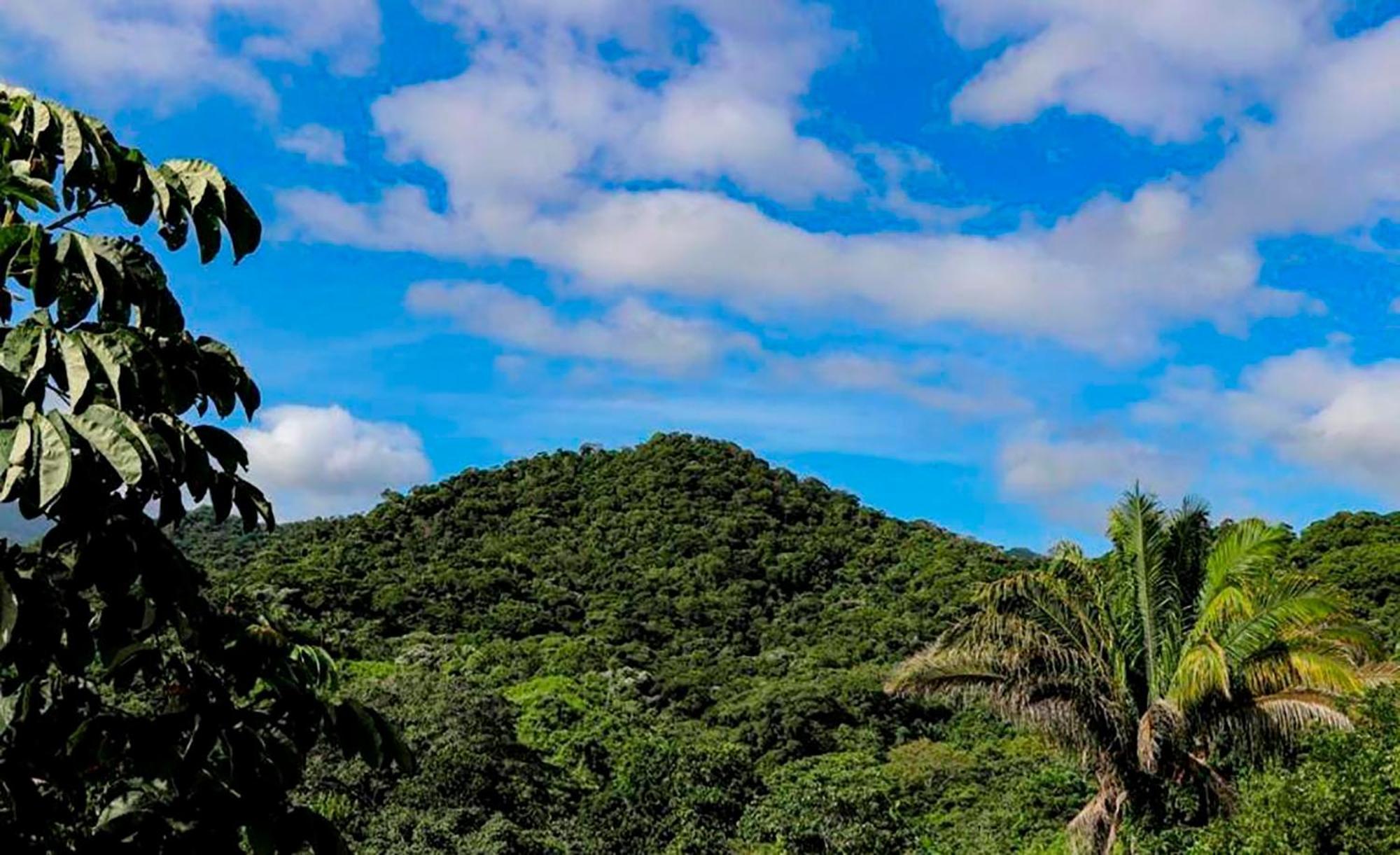 Hostal Mirador Dentro Del Parque Tayrona El Zaino Eksteriør bilde