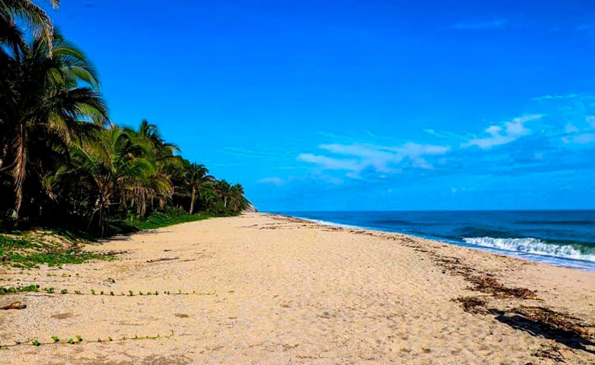 Hostal Mirador Dentro Del Parque Tayrona El Zaino Eksteriør bilde