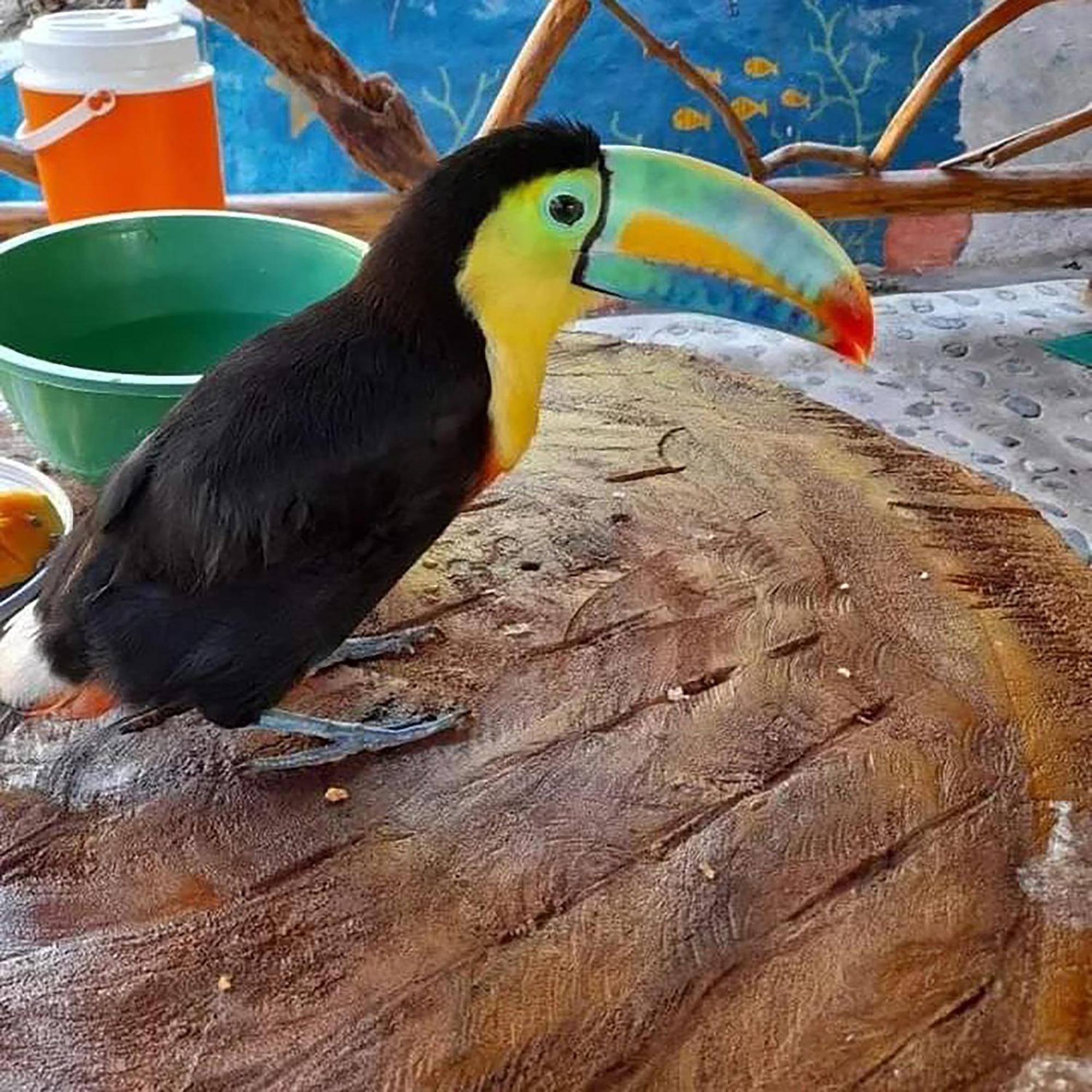 Hostal Mirador Dentro Del Parque Tayrona El Zaino Eksteriør bilde