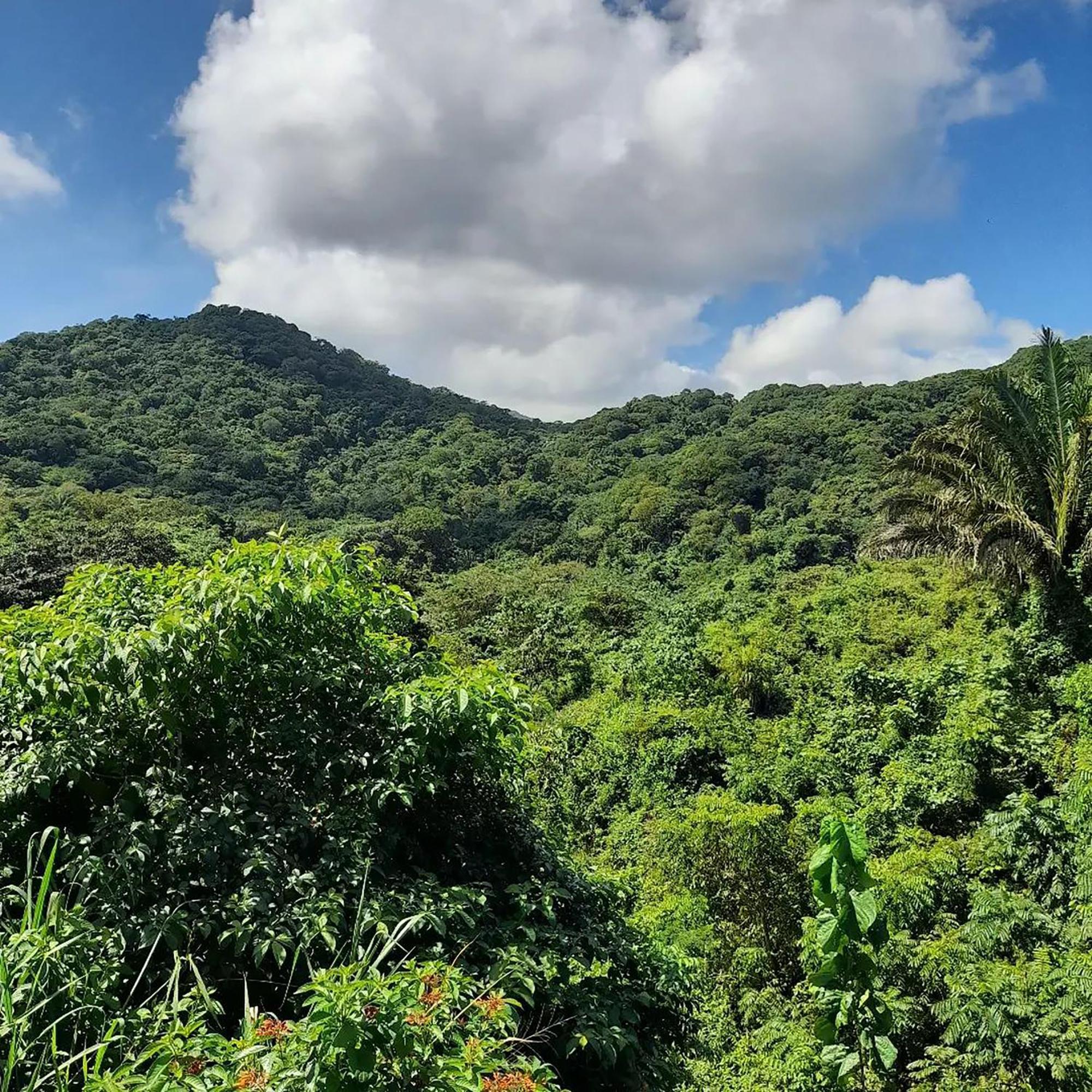 Hostal Mirador Dentro Del Parque Tayrona El Zaino Eksteriør bilde