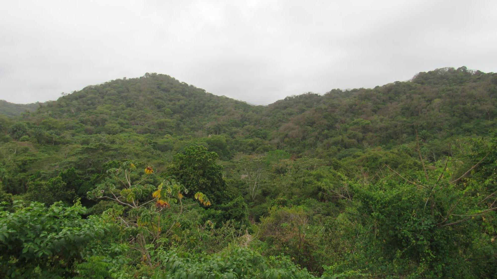 Hostal Mirador Dentro Del Parque Tayrona El Zaino Eksteriør bilde