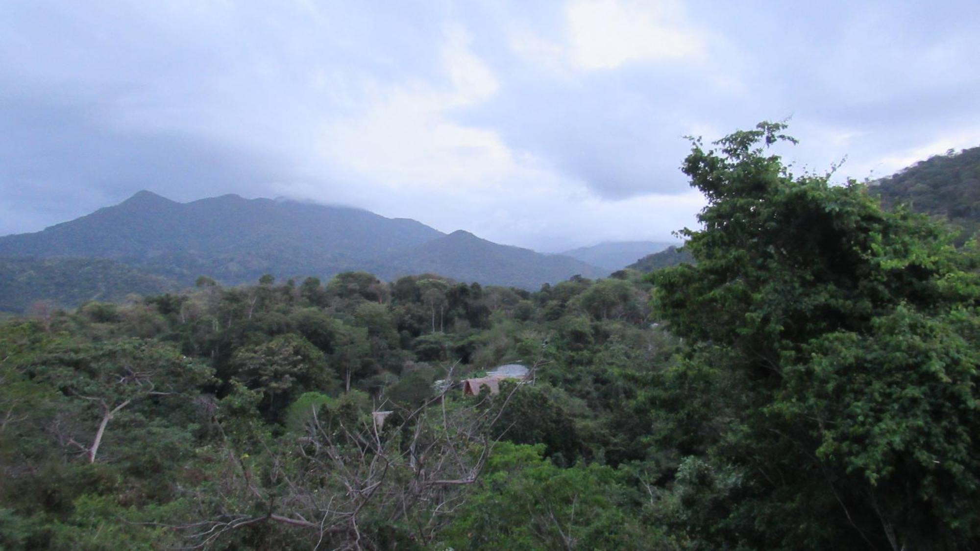 Hostal Mirador Dentro Del Parque Tayrona El Zaino Eksteriør bilde